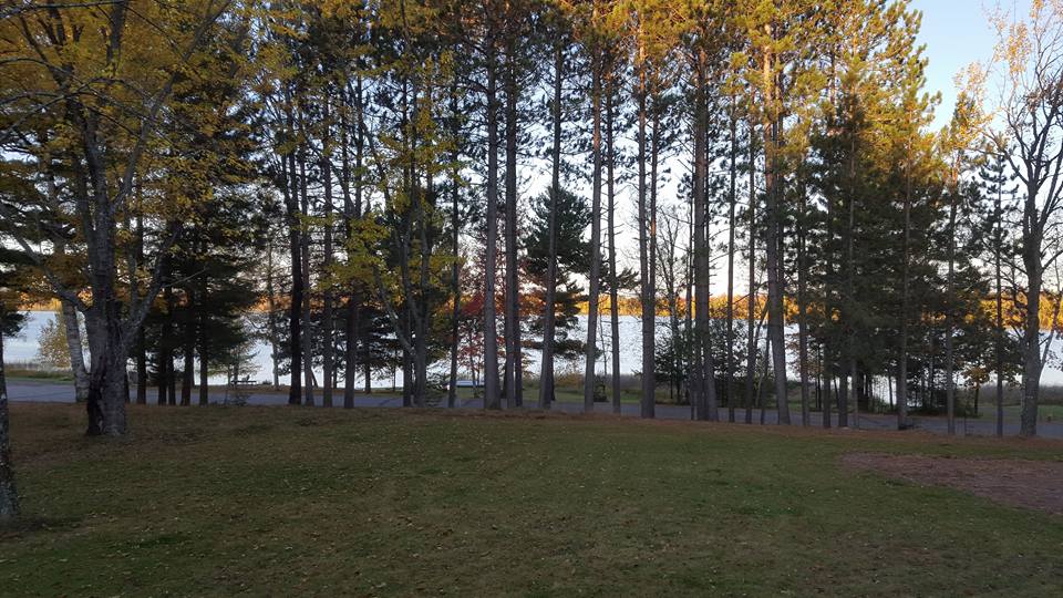 Honoring my mental health